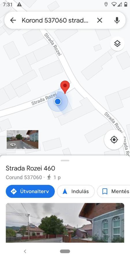 Kalmi Vendeghaz Otel Corund  Dış mekan fotoğraf