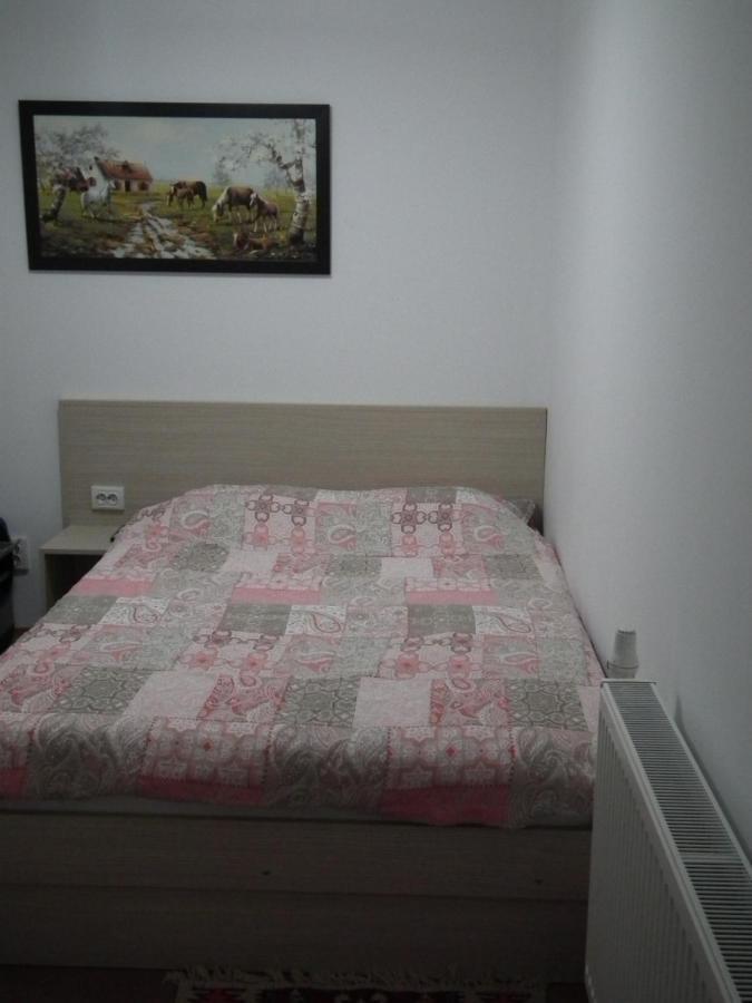 Kalmi Vendeghaz Otel Corund  Dış mekan fotoğraf